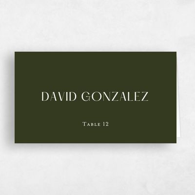 Green Modern Wedding Place Card - Sidney