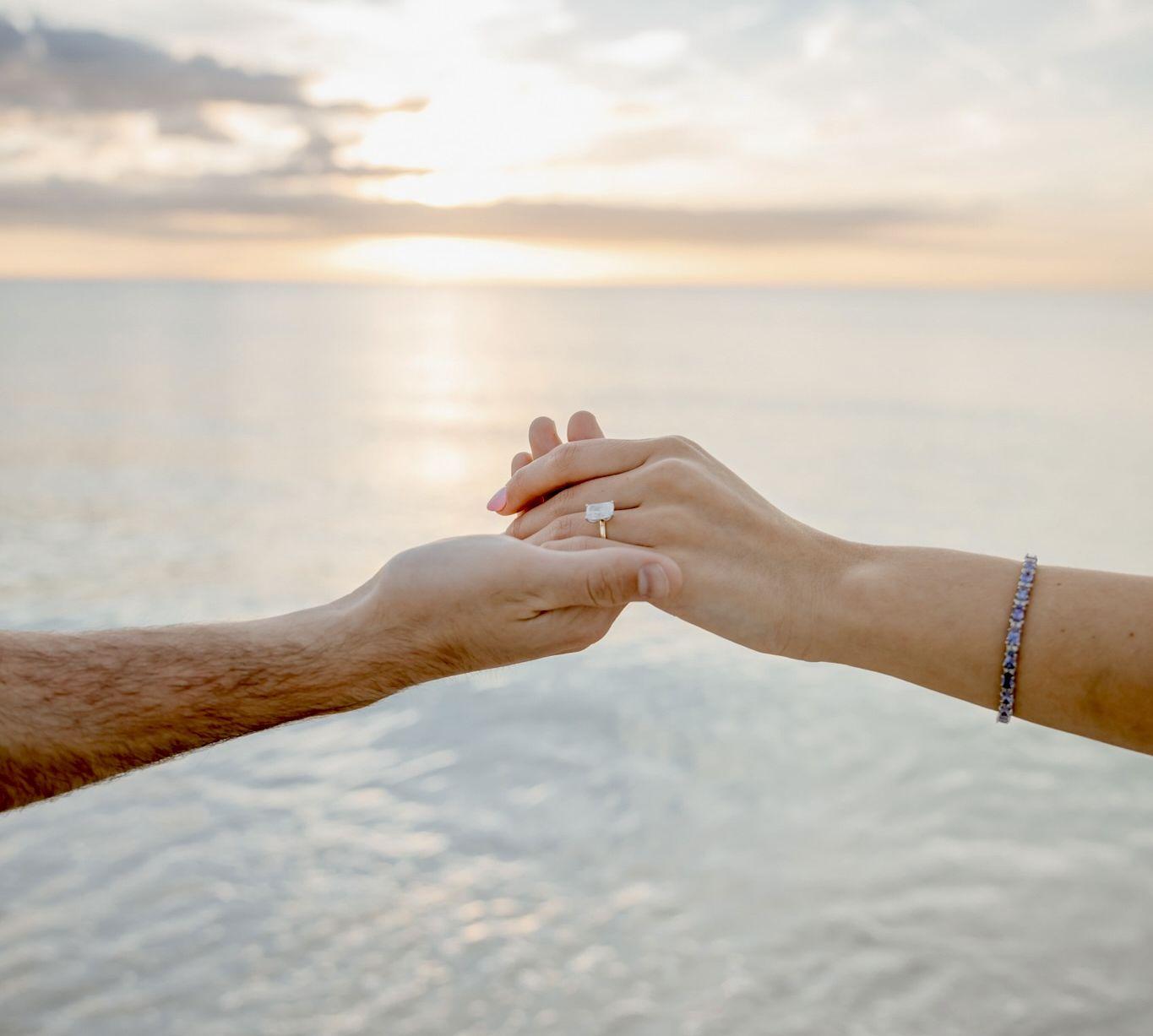 The Wedding Website of Leora Simon and Michael Mann