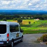 Elkin Vine Line