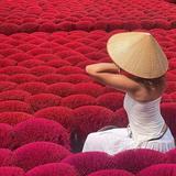 Incense Village & Hat Making Tour from Hanoi (by Vietnam Village Vibes)