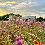 Wimberley Valley Winery