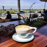 Bird Rock Coffee