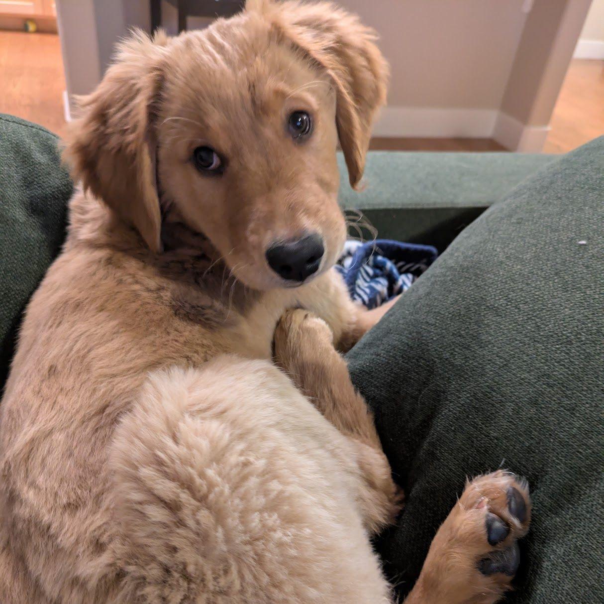 Ralphie!