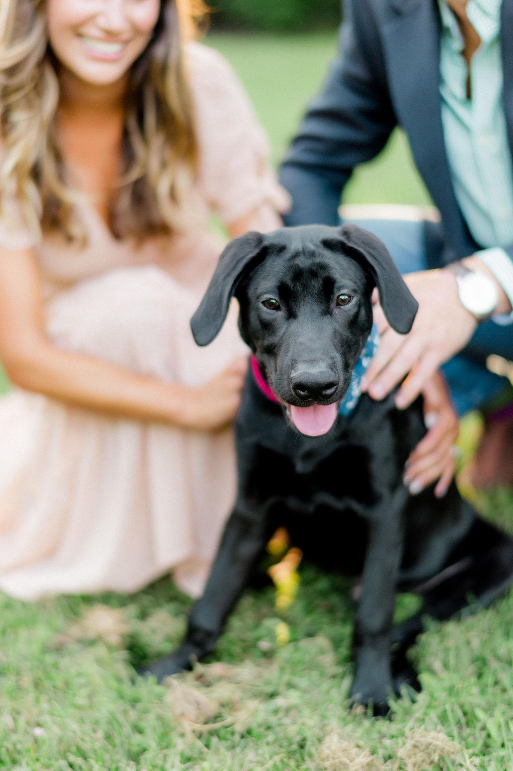 The Wedding Website of Candice Millard and Fran Martino