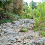 Mount Beacon