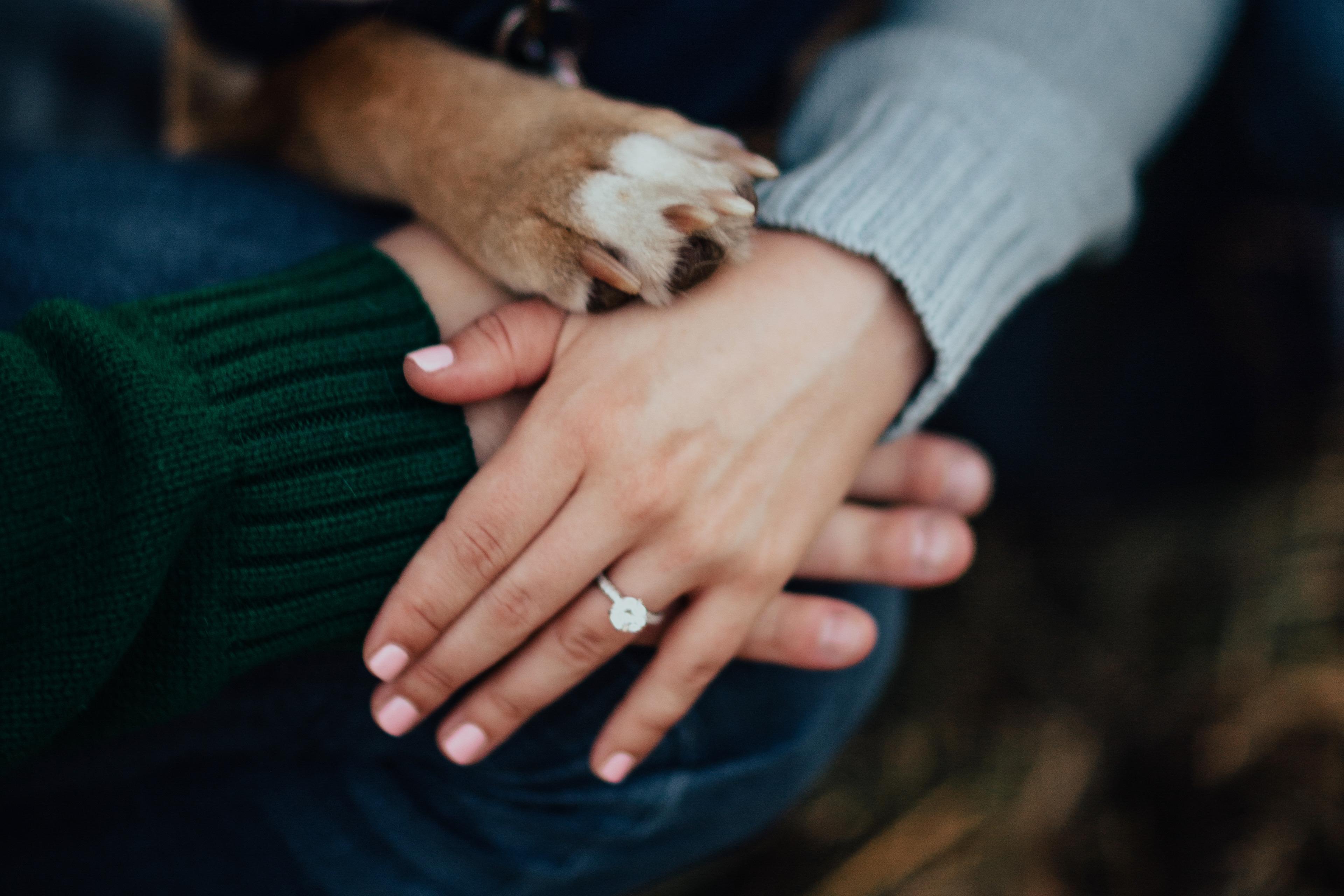 The Wedding Website of Rachel Grisham and Samuel Cook
