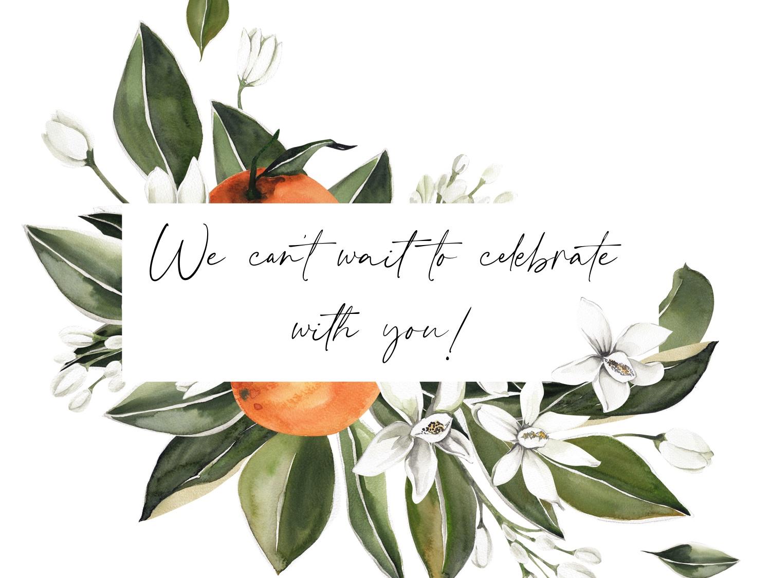 The Wedding Website of Savanna Mulvaney and Michael Vandivier