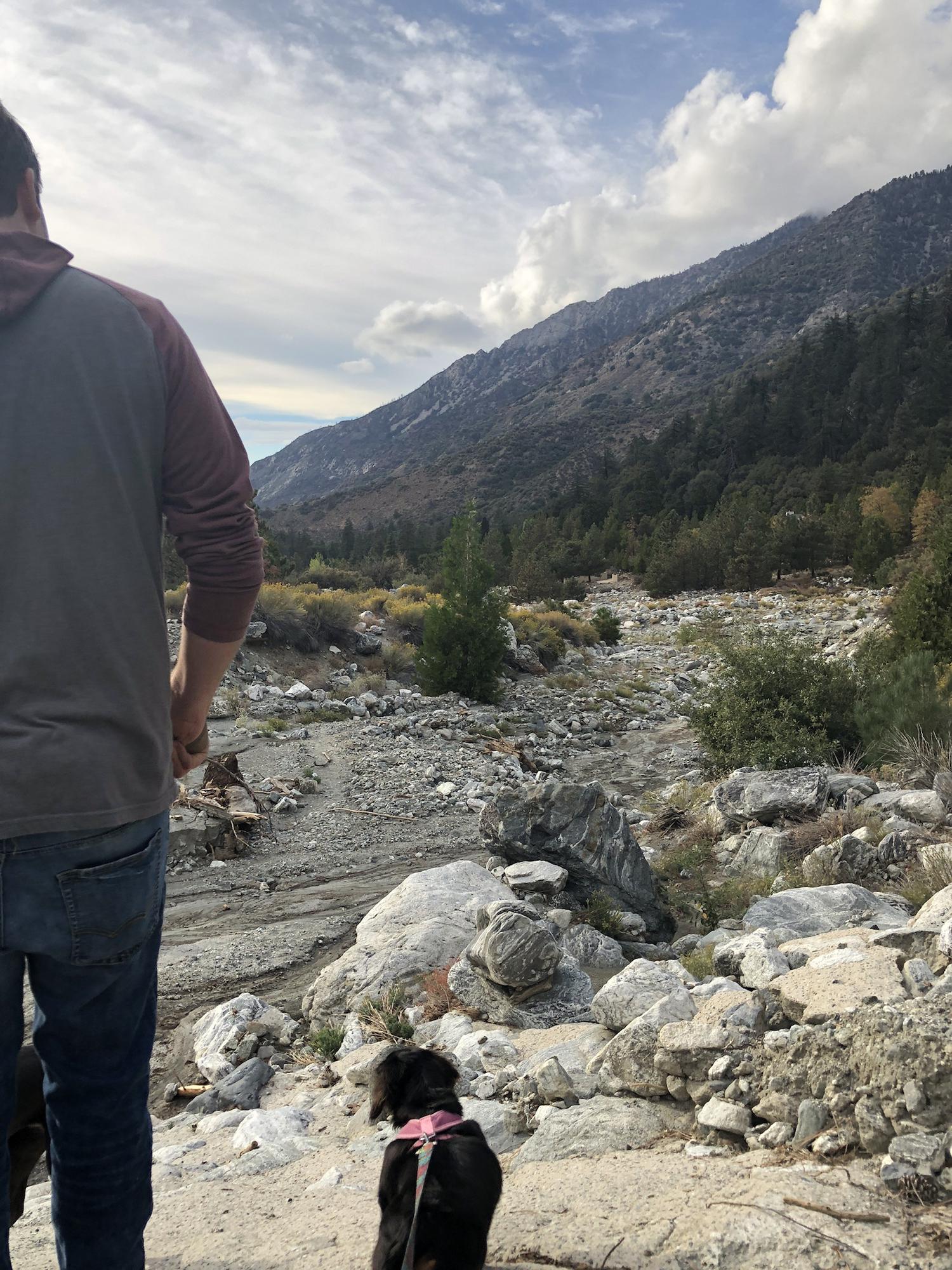 We moved to Forest Falls 🌲