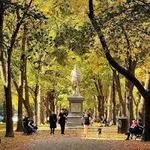 Commonwealth Avenue Mall