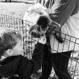 Clover Brooke Farm