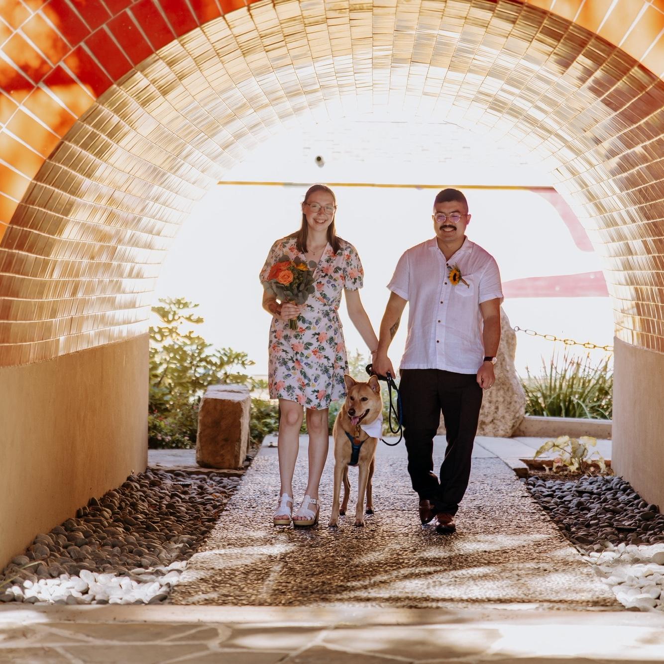 A little walk through this beautiful underside of a bridge on the Riverwalk!