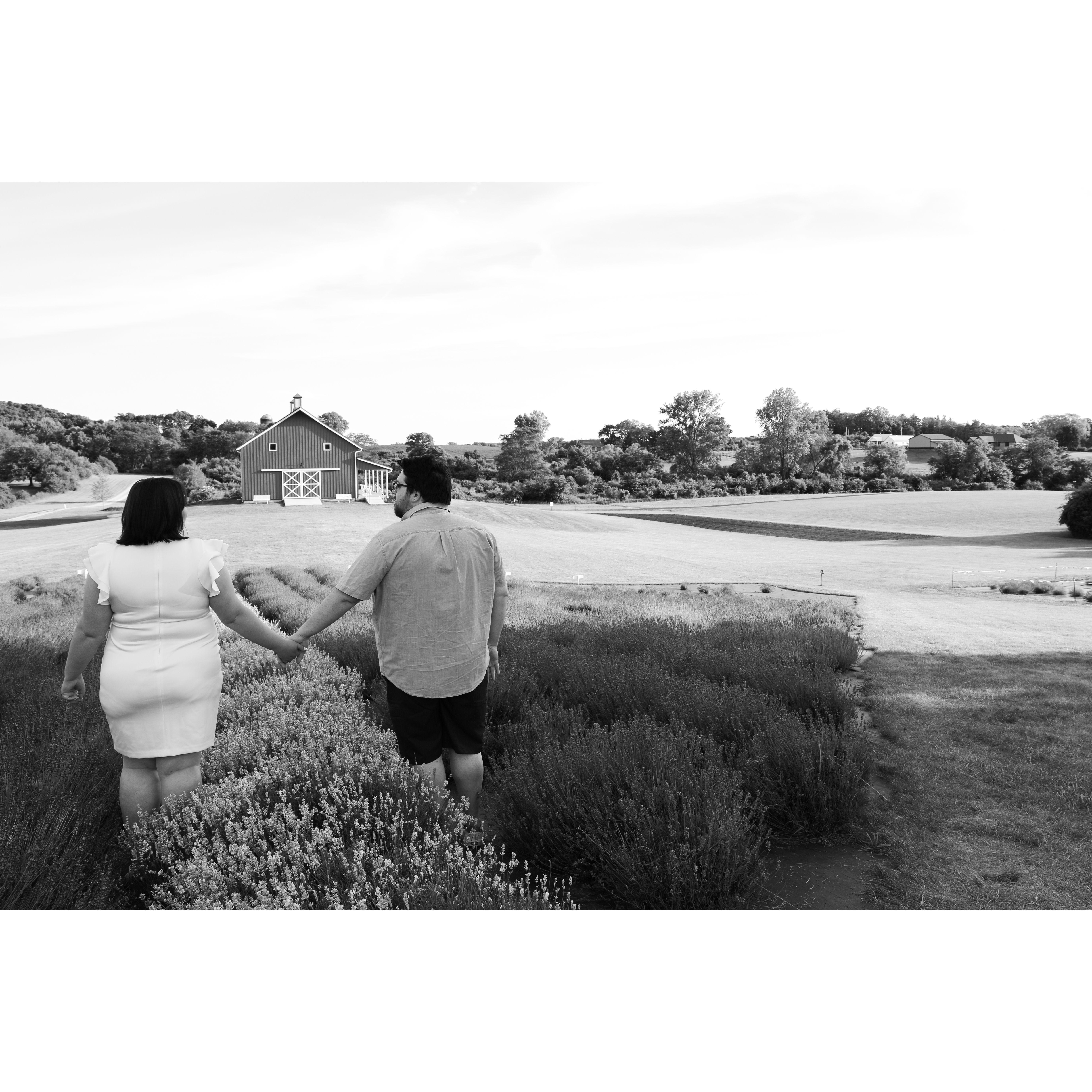 Engagement photoshoot at Sunset Ridge Lavender Farms. Photographer was Bloom Photography, LLC