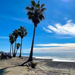 Doheny State Beach