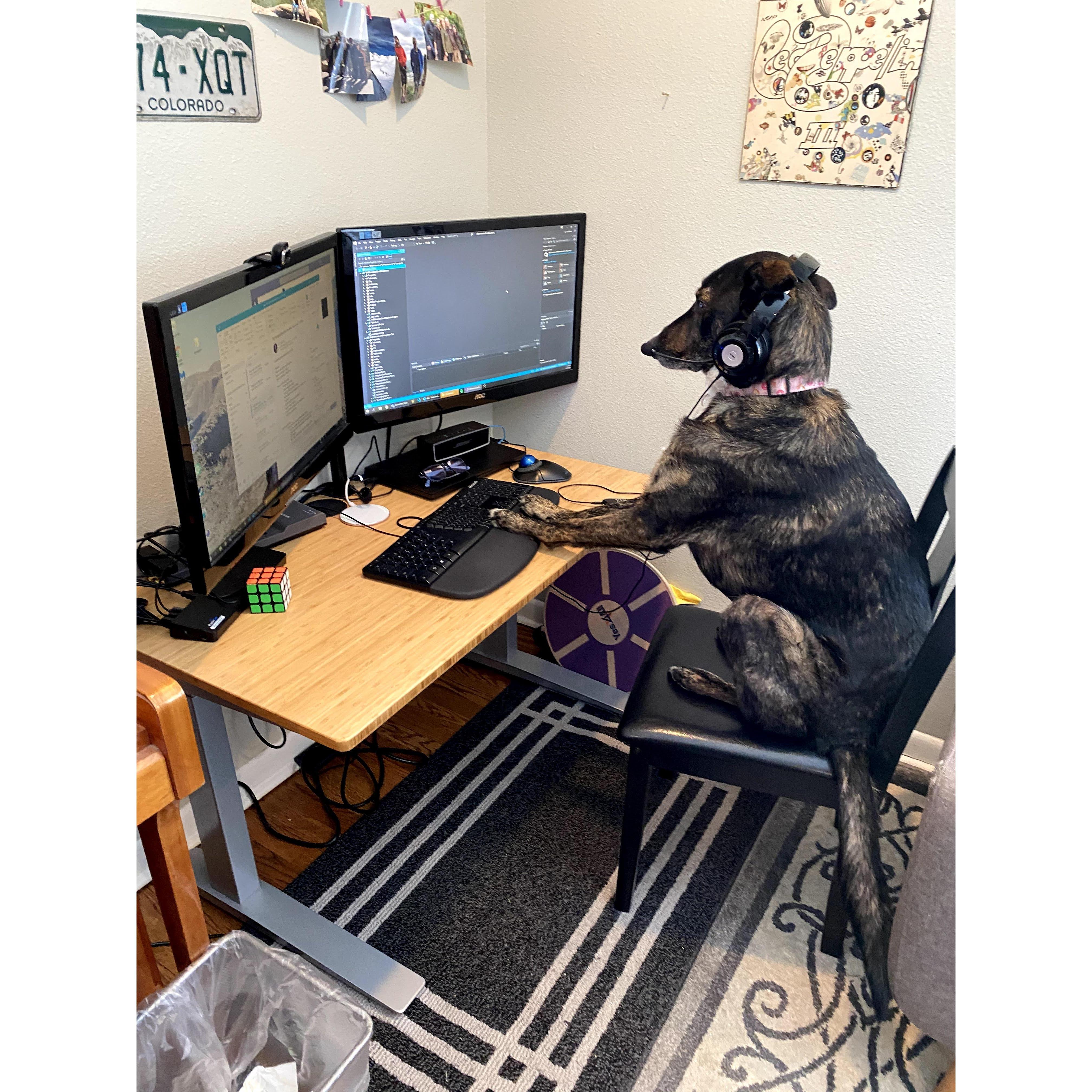 Luna singlehandedly supporting our family