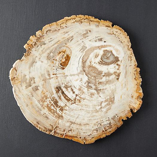 Petrified Wood Serving Board