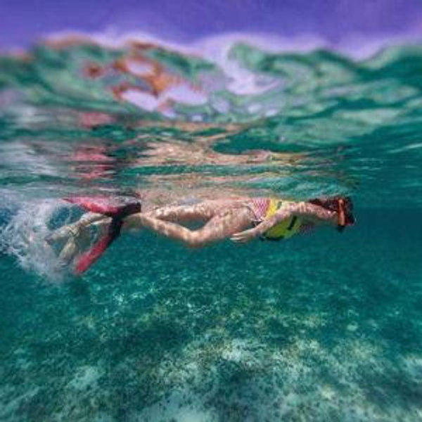 Snorkeling at Cades Reef