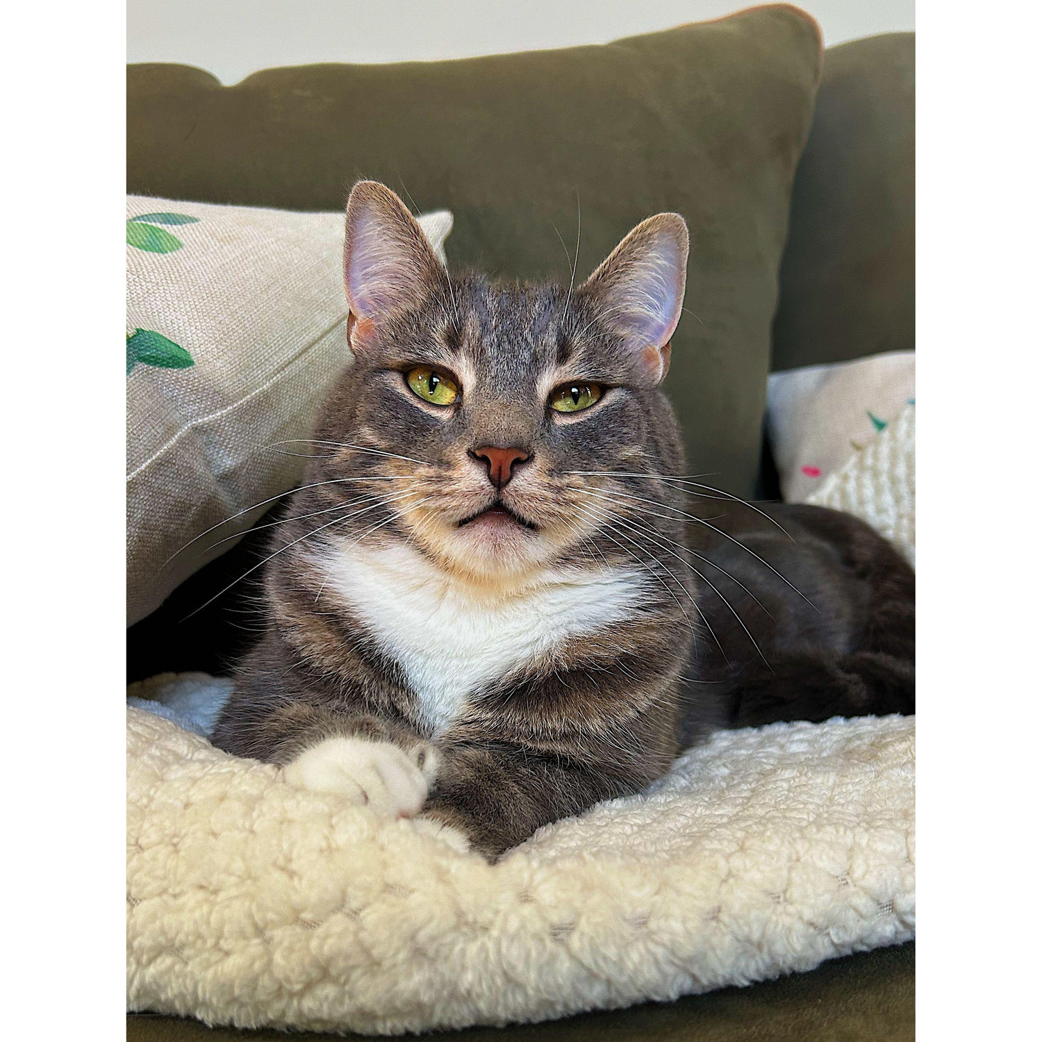 Just Peanut (again)