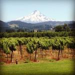 Wineries