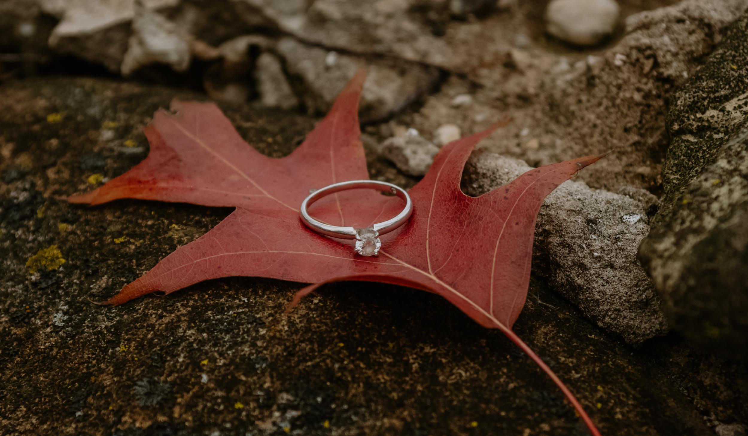 The Wedding Website of Nicki Bryniczka and Max Berlow