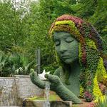 Botanical Garden
