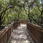 Neal Preserve