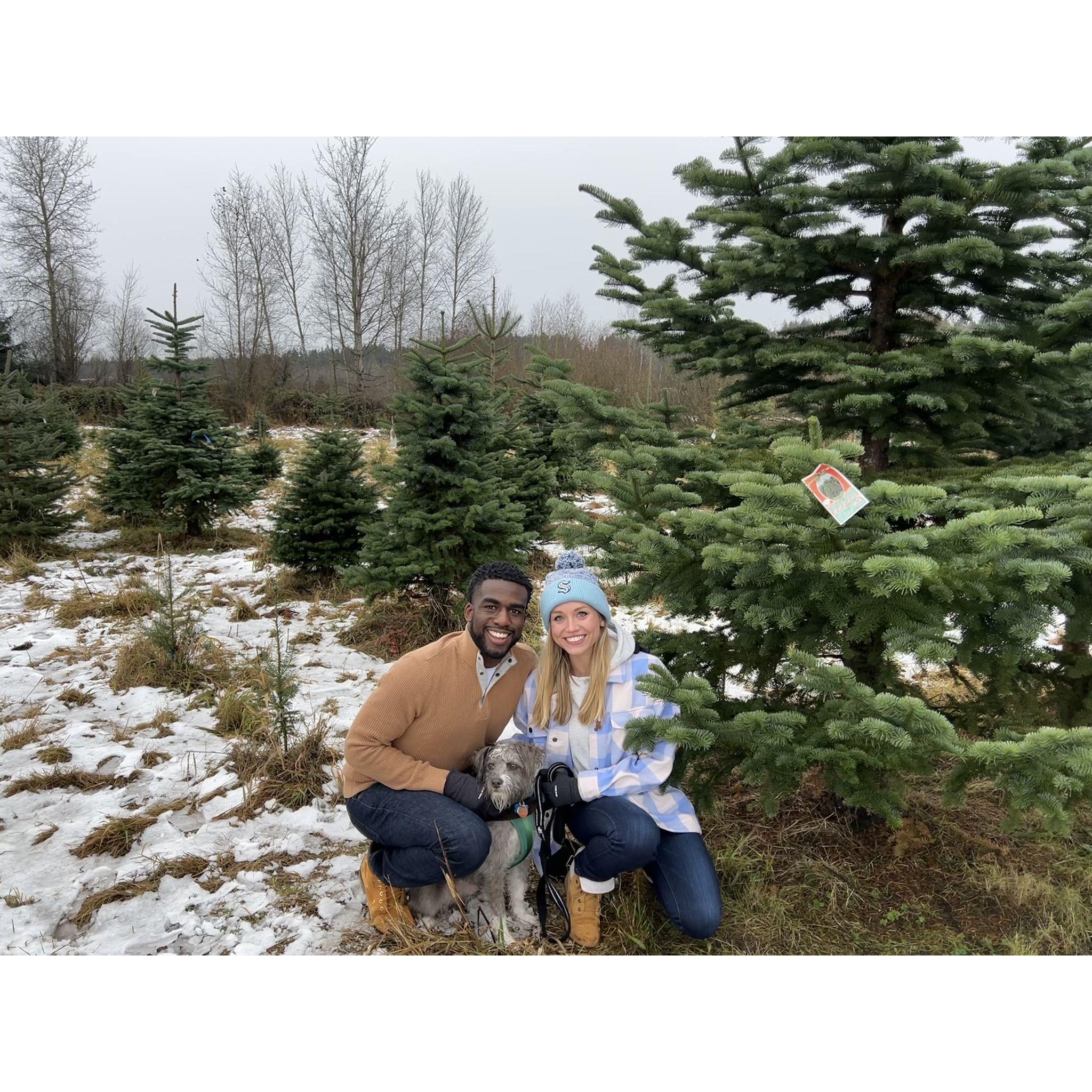 Our first Christmas card