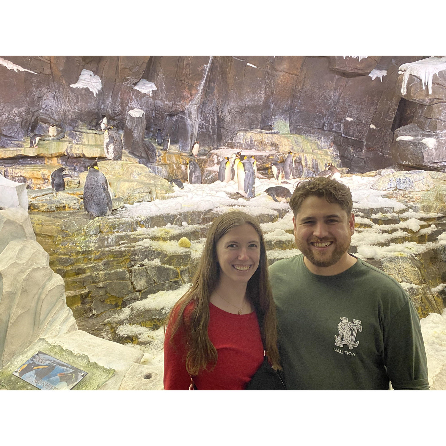 With the penguins! All of them are named Mac