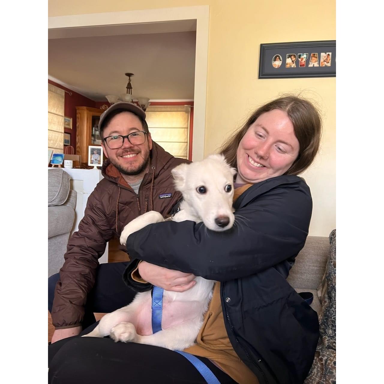 We got another puppy! Welcome home Nova!