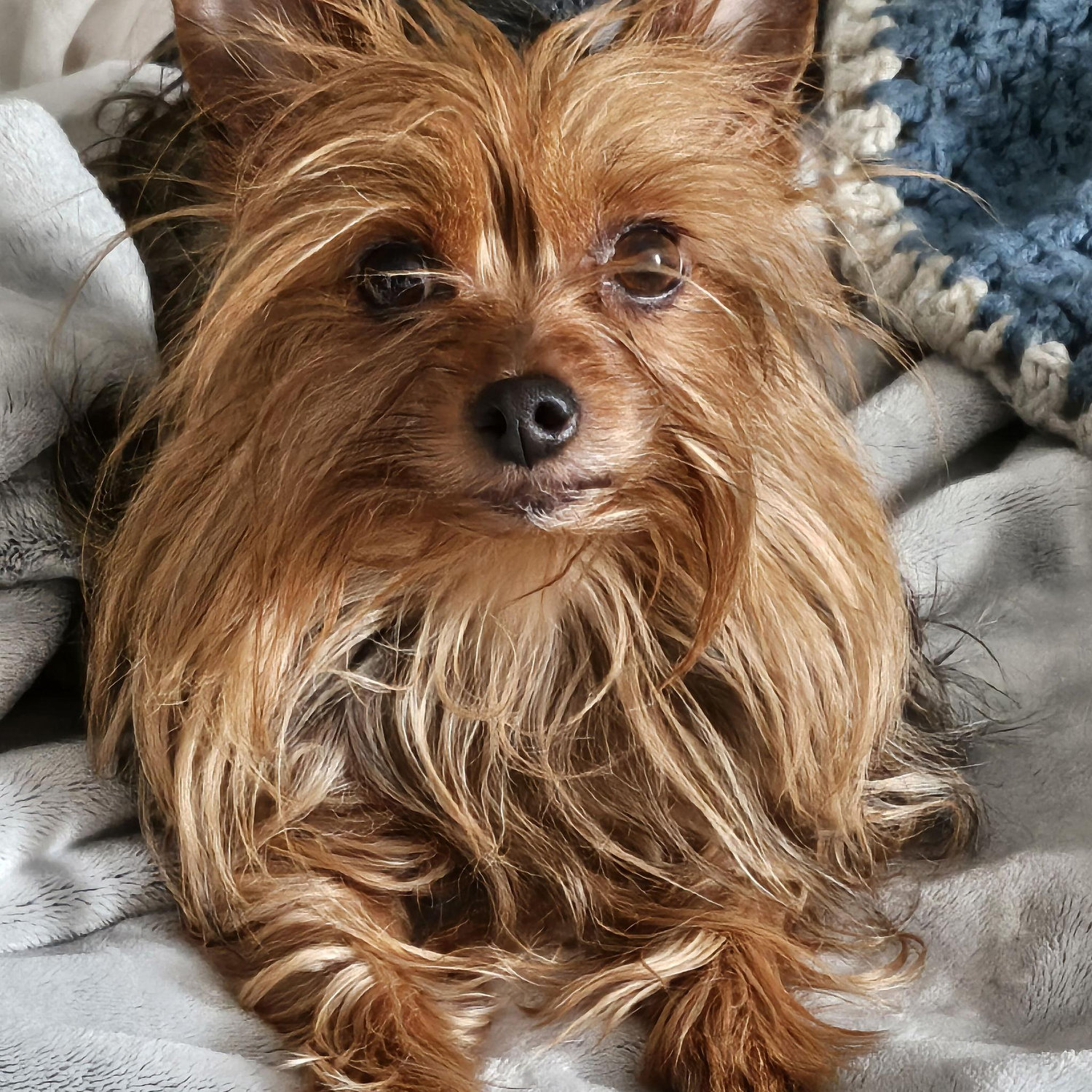 Our daughter Mika!