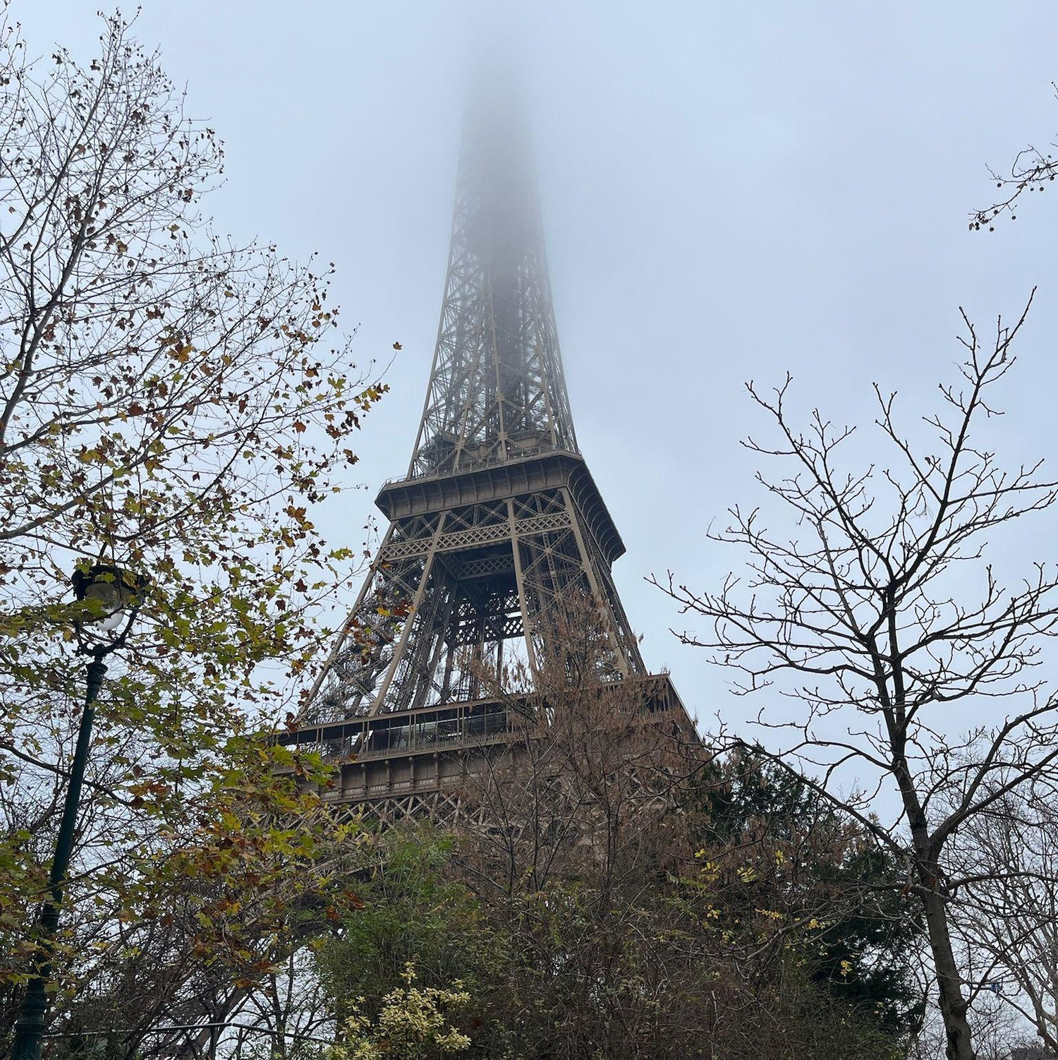 On Dec. 15, 2025, Cameron made his move, and the two shared their first kiss in Paris, France.