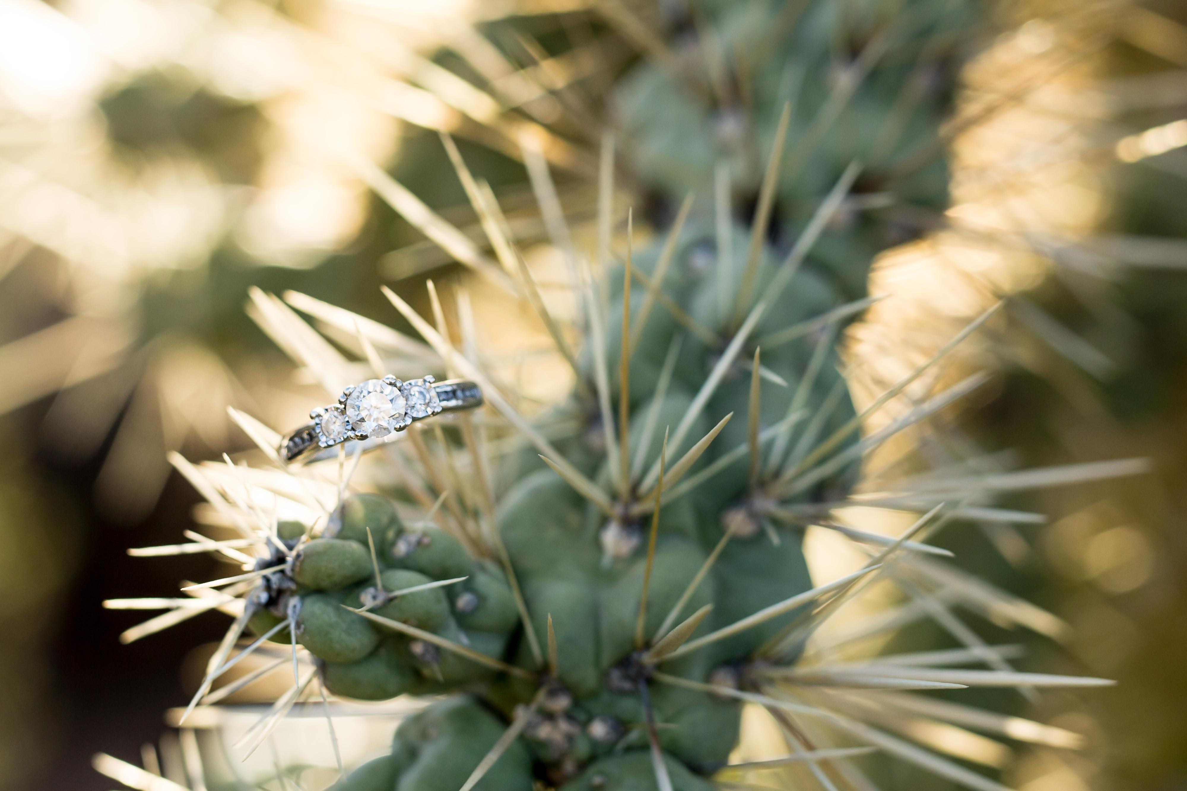 The Wedding Website of Samantha Andresen and Tyler Lewin