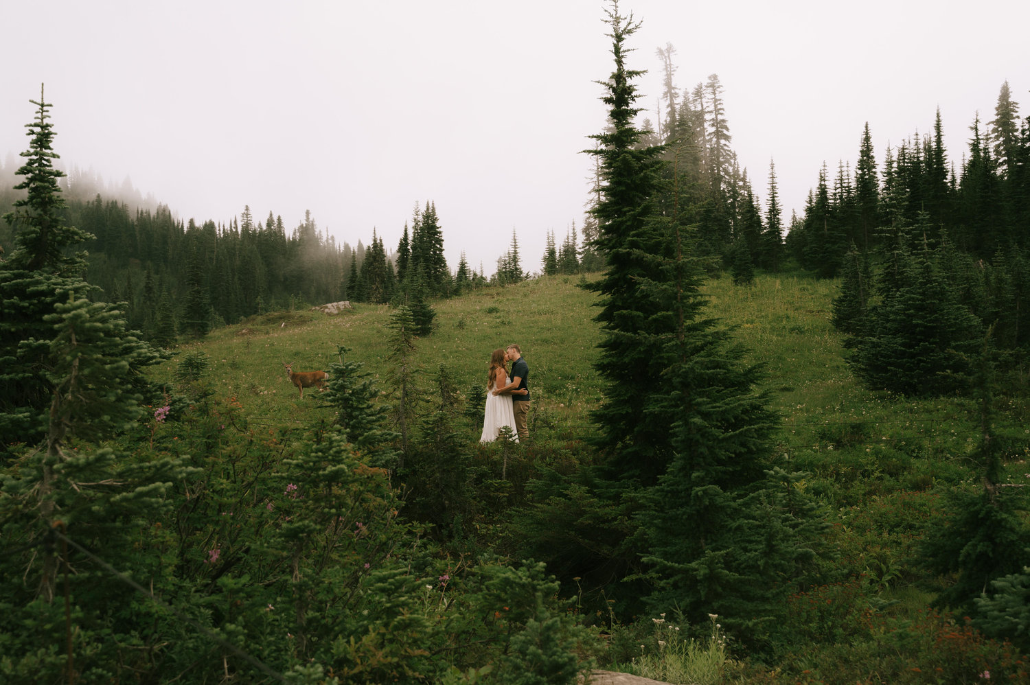 The Wedding Website of Allison Traina and Andrew Tamashunas