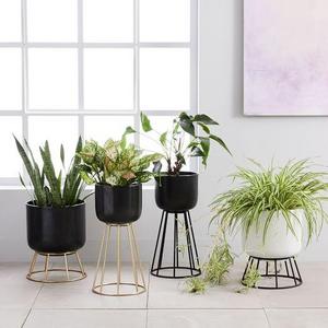 Wire Global Standing Planters, White/Gold Medium