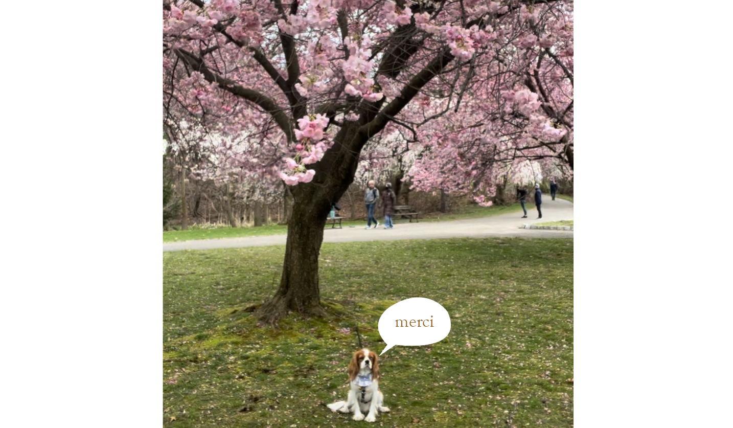 Footer image