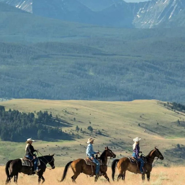 Horseback Riding On Our Honeymoon