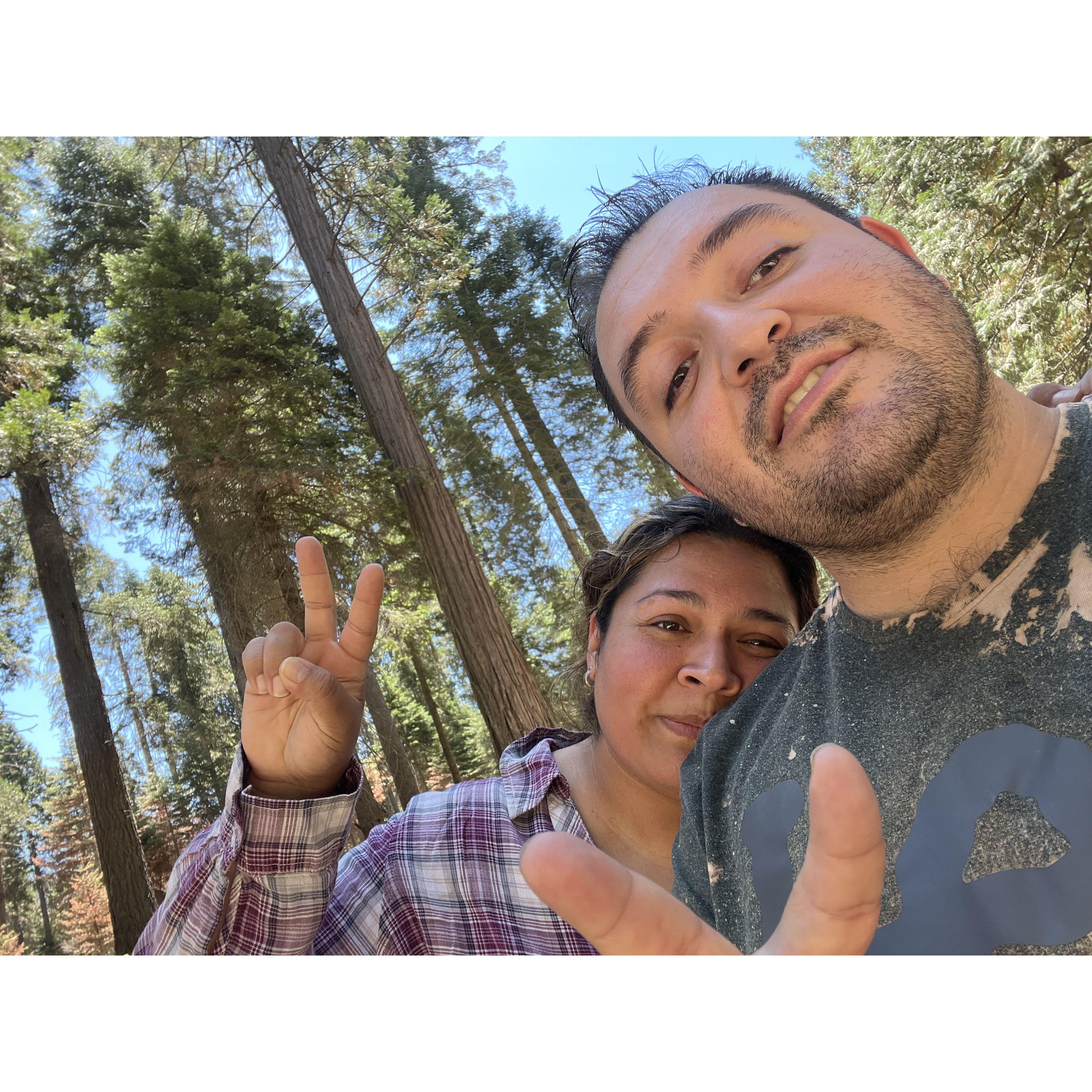 Sequoia Camping