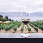 Wish Wish Wine Tours