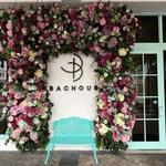 Bachour