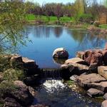 The Webster Arboretum