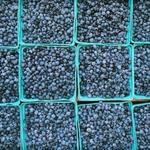 Blue Hill Farmers Market