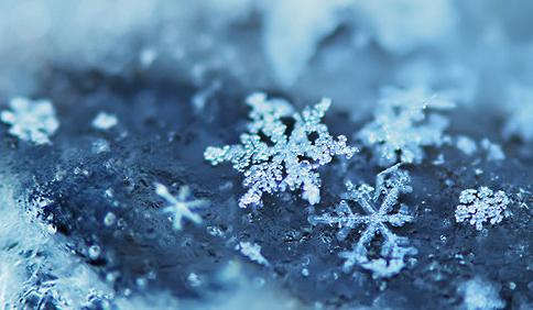 The Wedding Website of Maxine Alvarez and Cristopher Gomez