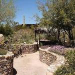 Arizona-Sonora Desert Museum