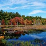 Pawtuckaway State Park