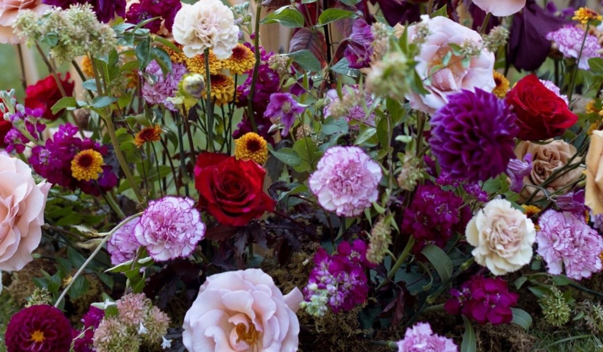 The Wedding Website of Gabrielle Marrapodi and Lucas Brennan