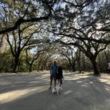 Wormsloe State Historic Site