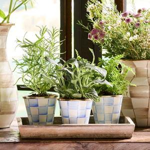 MACKENZIE-CHILDS Set of 3 Enamel Herb Pots, Small Plant Pots for Herbs or Flowers, Light-Blue-and-White Sky Check