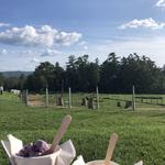 High Lawn Farm