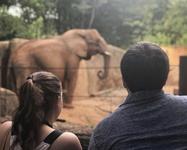 Zoo Atlanta