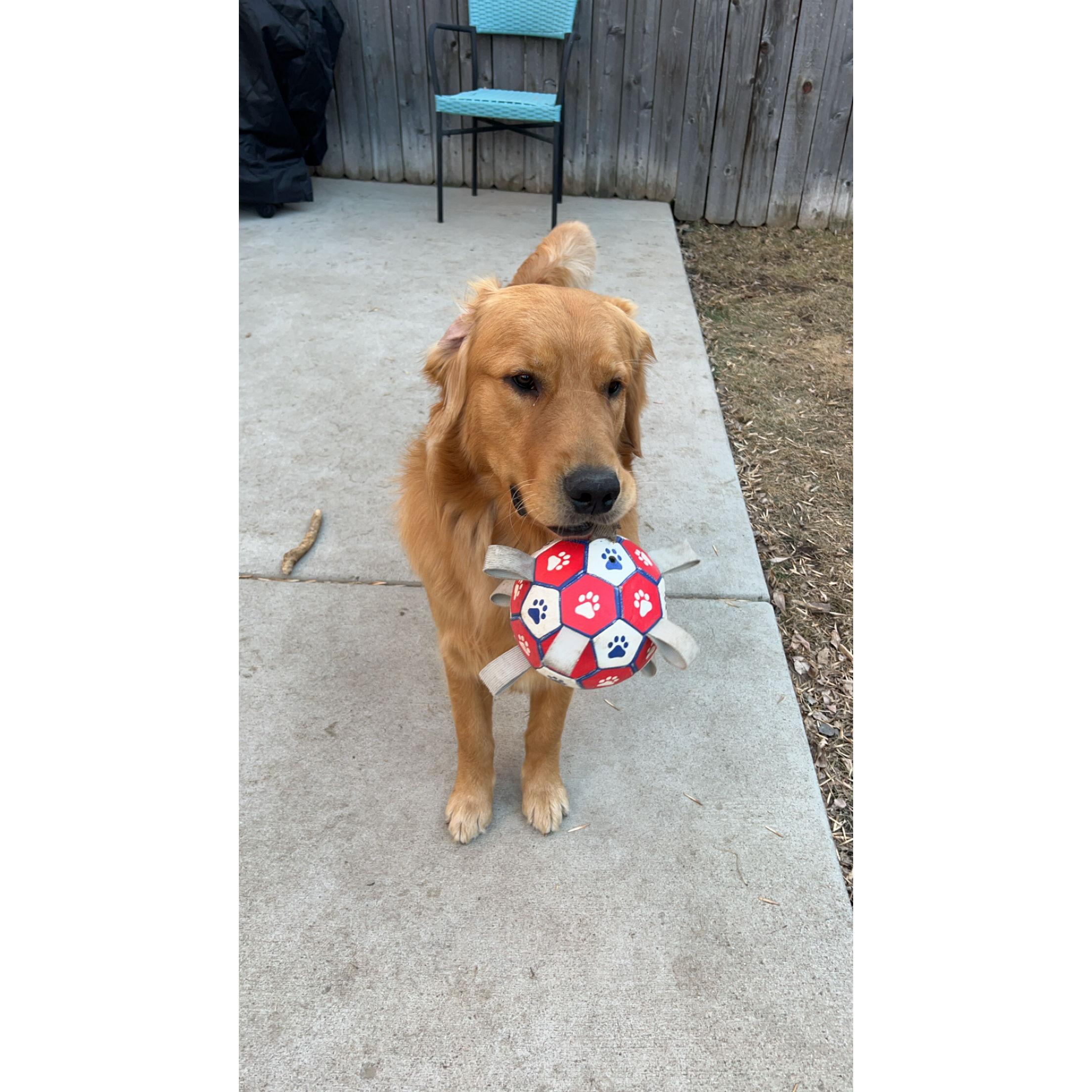 Bubba and his ball