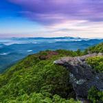 Craggy Gardens